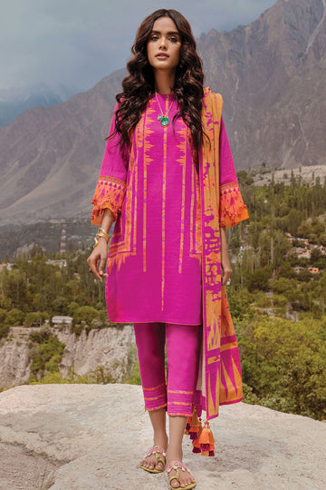 FW-2.1-21-PINK Alkaram Winter Collection 2021